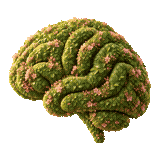 Brain made of topiary leaves and blossoms